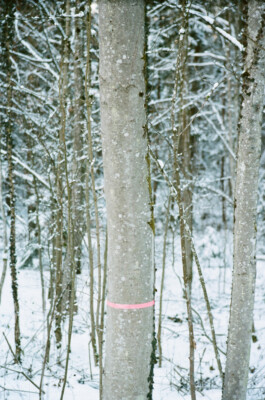 Studio Lukas Kissling