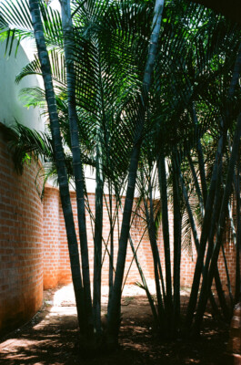 Studio Lukas Kissling
